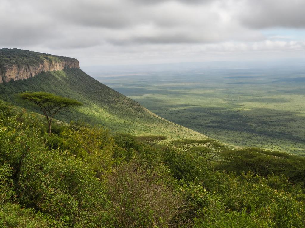 Dramatic landscape of the Great Rift Valley escarpment with acacia trees