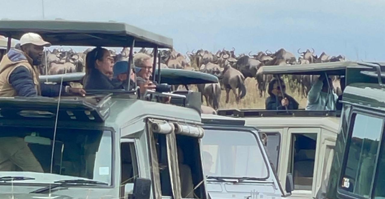Guests photographing the migration from open-roof safari vehicles